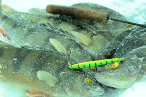 Блесны ECOPRO для перволедья