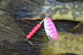 Новинка 2024. Блесна «Камчатка» – убийца трофейного хищника